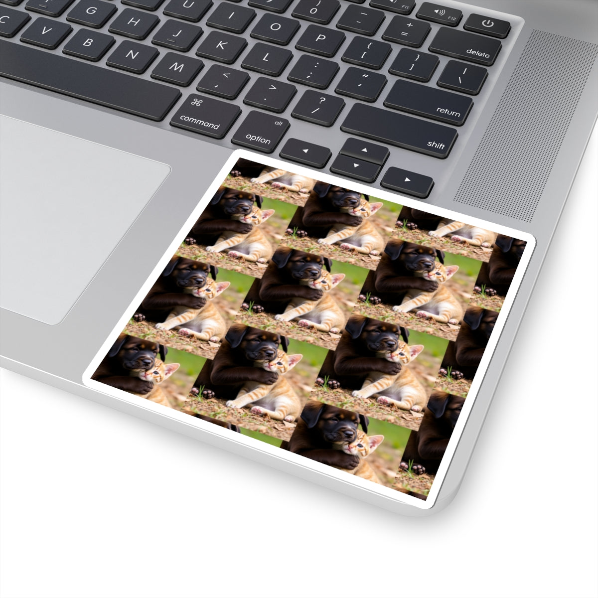 Kiss-Cut Stickers